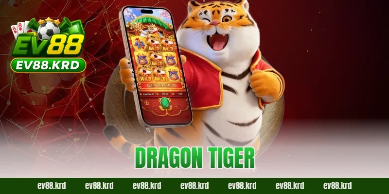 Dragon Tiger